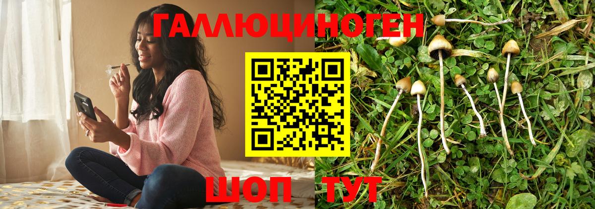 Псилоцибиновые грибы Psilocybine cubensis  Вход с VPN  Псилоцибиновые грибы Magic Shrooms  Похвистнево 