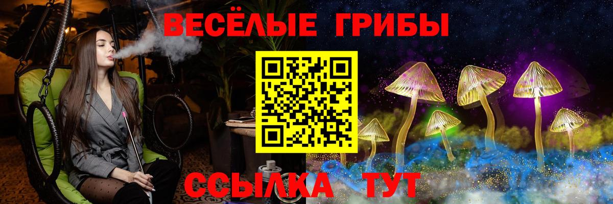 Псилоцибиновые грибы Psilocybe Похвистнево